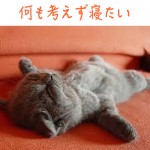 起きれないのは睡眠時に体力を回復出来ない