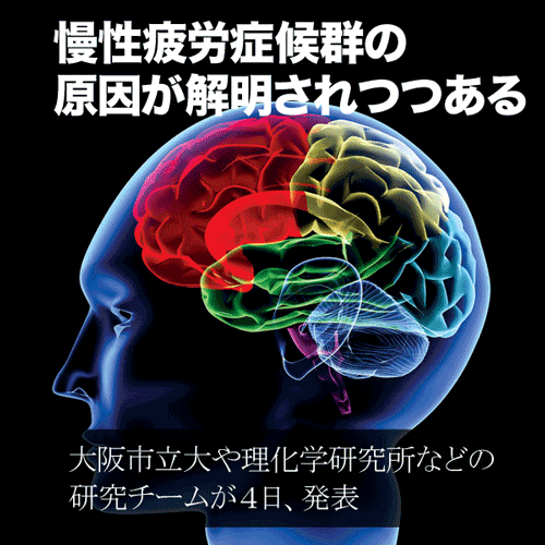 脳の炎症で起こる慢性疲労症候群！