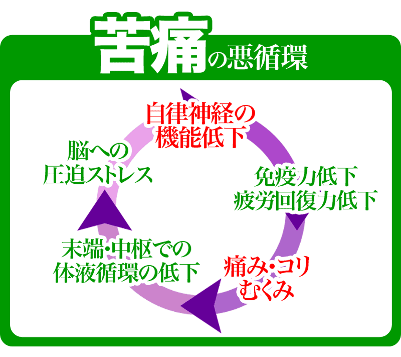 痛みの悪循環