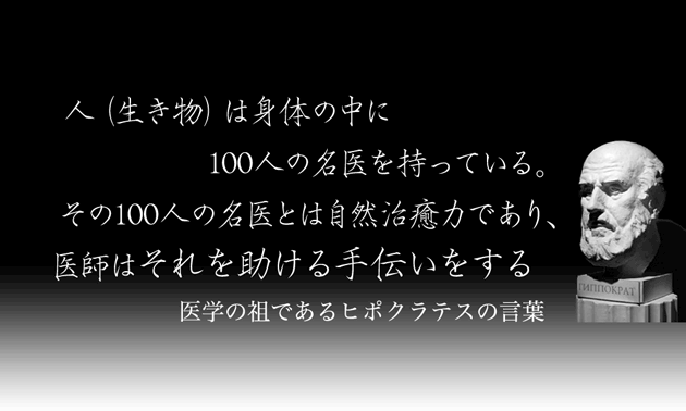 カイロプラクティックの世界からはみ出る